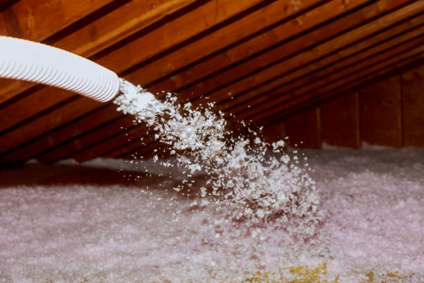 Best Specialized Insulation Services in Welsh, LA