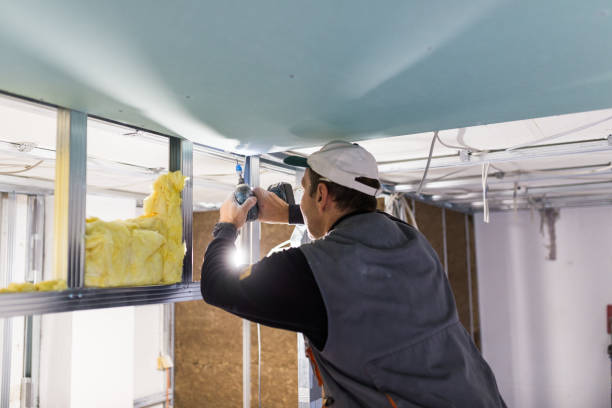 Best Insulation Maintenance and Repair in Welsh, LA