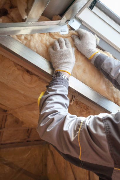 Best Spray Foam Insulation in Welsh, LA