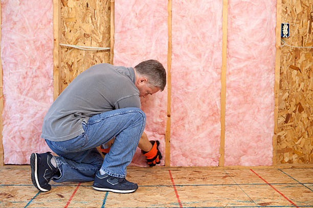 Best DIY Insulation Kits and Guidance in Welsh, LA
